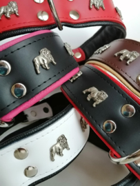 Leren halsband voor Engelse Bulldog