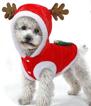 Aantrekkingskracht priester Rot Exclusive Dog Fashion-Hondenboetiek-Kerstkleding-hond