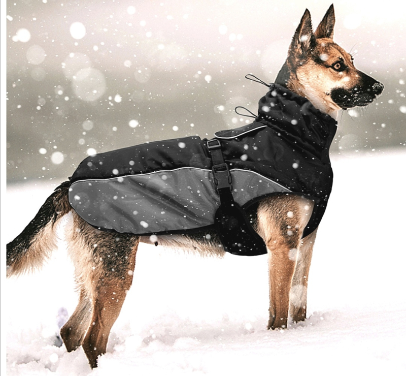 lelijk Super goed verbrand Gevoerde honden regenjas voor grote hond | 3XL, | Hondenjassen | Exclusive  Dog Fashion - Hondenboetiek