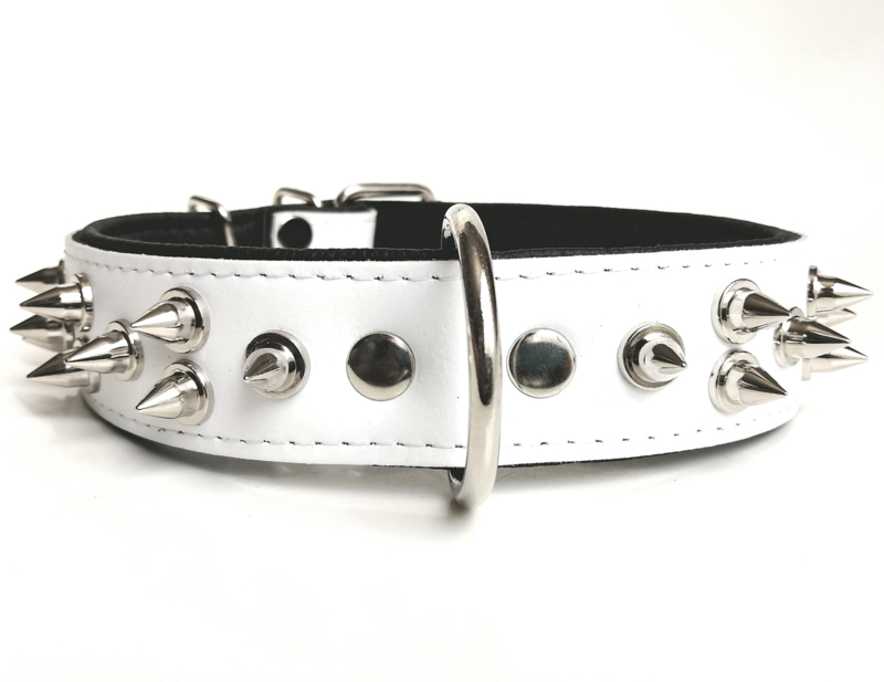 Spotlijster Mus methodologie Halsband hond "SPOILED SPIKES" Wit | 55cm | Halsbanden M 39 - 49cm |  Exclusive Dog Fashion - Hondenboetiek