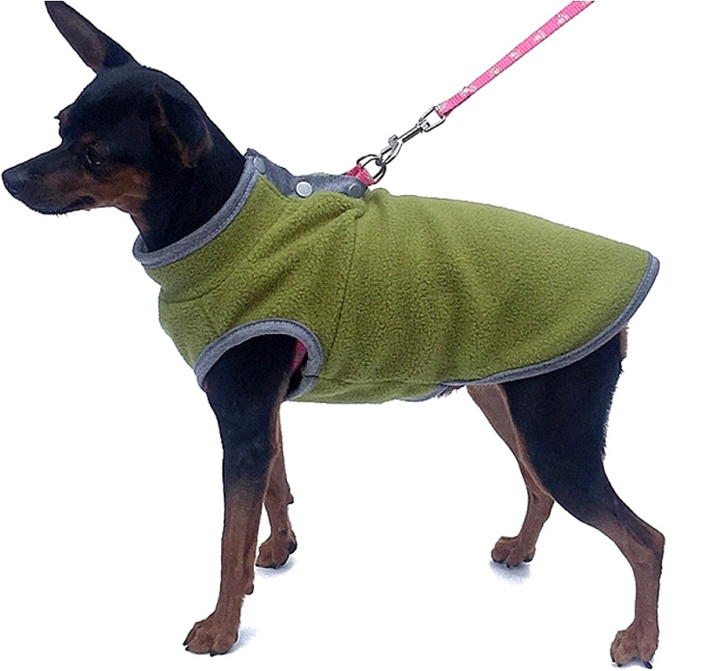 Manieren Onenigheid Dempsey Hondentrui | Exclusive Dog Fashion | 3
