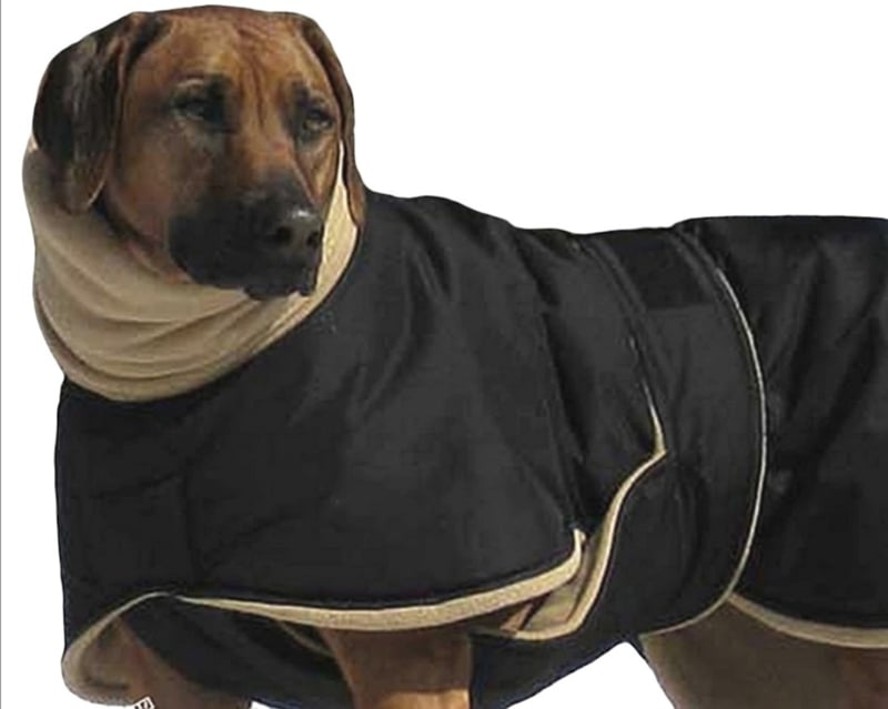 Hondenjas grote hond. Regenjas waterafstotend |  3XL, 4XL