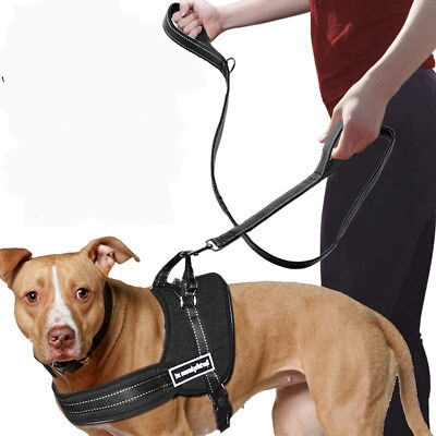 Amuseren Misverstand Mannelijkheid Anti trektuig hond Police K-9 | Hondentuigen - M, L, XL, XXL | Exclusive  Dog Fashion - Hondenboetiek