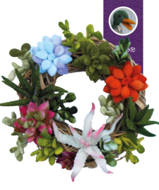 Magazine 20: Vetplanten