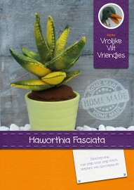 Vetplant Haworthia Fasciata