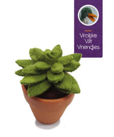 Vetplant Echeveria Agavoides