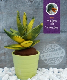 Vetplant Haworthia Fasciata