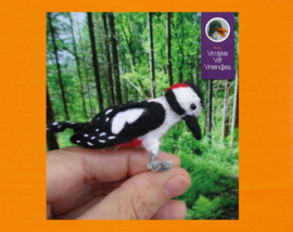 The spotted woodpecker pattern