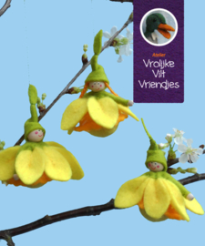 Narcis bolletjes