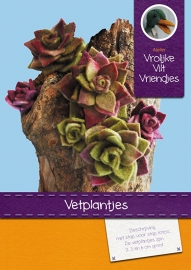 Patroonblad Vetplantjes