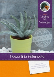 Vetplant Haworthia Attenuata