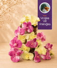 Orchideeën lichtjesslinger