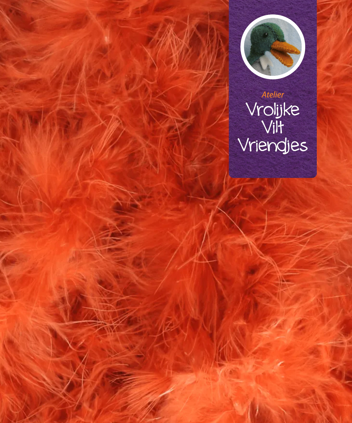 Donsveren boa oranje