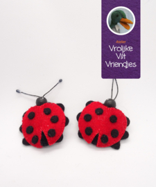 Broche lieveheersbeestjes