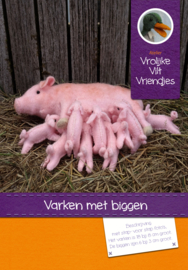 Varken met biggen