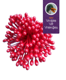 Voelsprieten- meeldraden fushia-rood