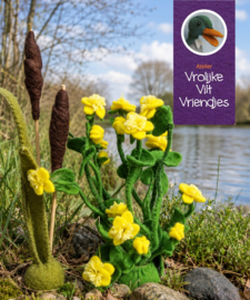 Dotterbloem en Lisdodde