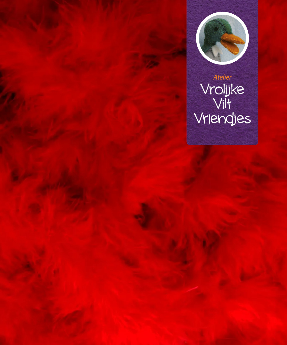 Donsveren boa rood