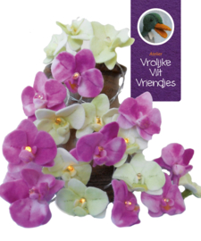 Orchideeën lichtjesslinger