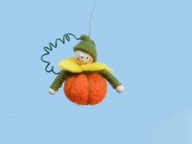 Pompoen bolletjes