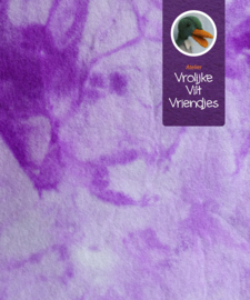 Sprookjesvilt  lila- wit orchidee