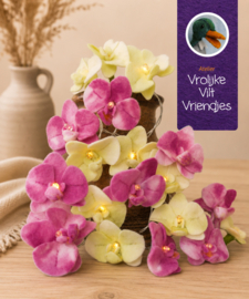 Orchideeën lichtjesslinger