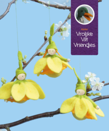 Narcis bolletjes