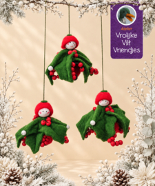 Hulst bolletjes