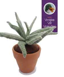 Vetplant Haworthia Attenuata