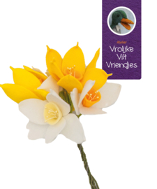 Pakket  Narcissen