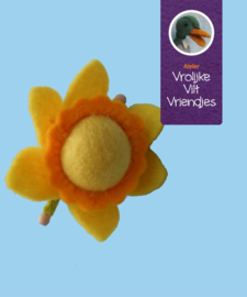 Narcis bolletjes