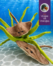 Roggen met waterplant