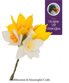 Pakket Narcissen