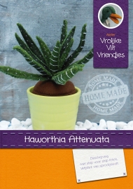 Vetplant Haworthia Attenuata