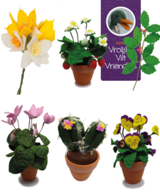 Viltbloemen pakketten