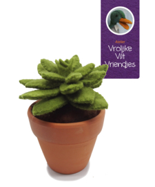 Vetplant Echeveria Agavoides