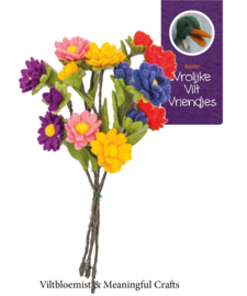 Pakket Asters