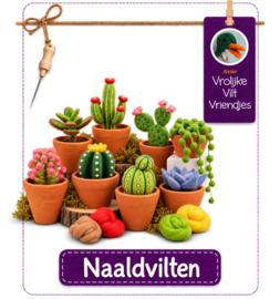 Cactus naaldviltpakket