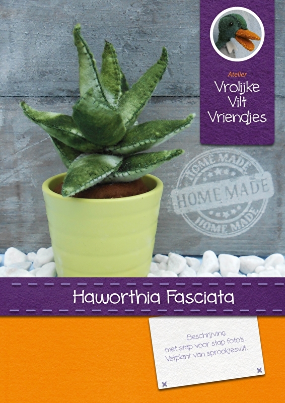 Vetplant Haworthia Fasciata