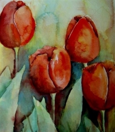 Tulp (rood)