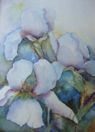 Bloemen-aquarel