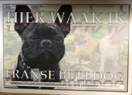 WAAKBORD FRANSE BULLDOG HIER WAAK IK