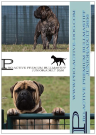 BULLMASTIFF PREMIUM JUNIOR/ADULT 15 KG (GEPERST)