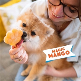 Smoofl ijsmix voor hondenijsjes Mango