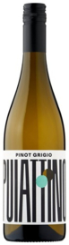 Puiattino Pinot Grigio - Friuli dop