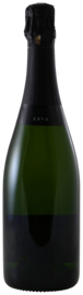 Cava Brut MAGNUM - Zonder Etiket | Private Label