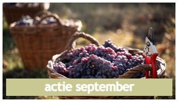 actie september - Bekijk de oogst van de maand