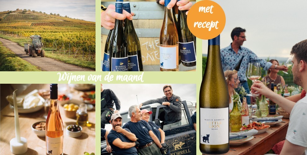 wijnen van de maand weingut Korrel