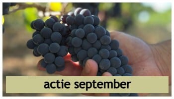actie wijnen september - oogst, proeven en genieten