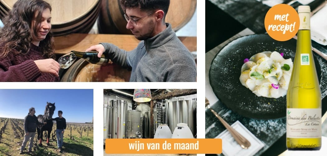 wijn van de maand al ria - Muscadet Baluettes